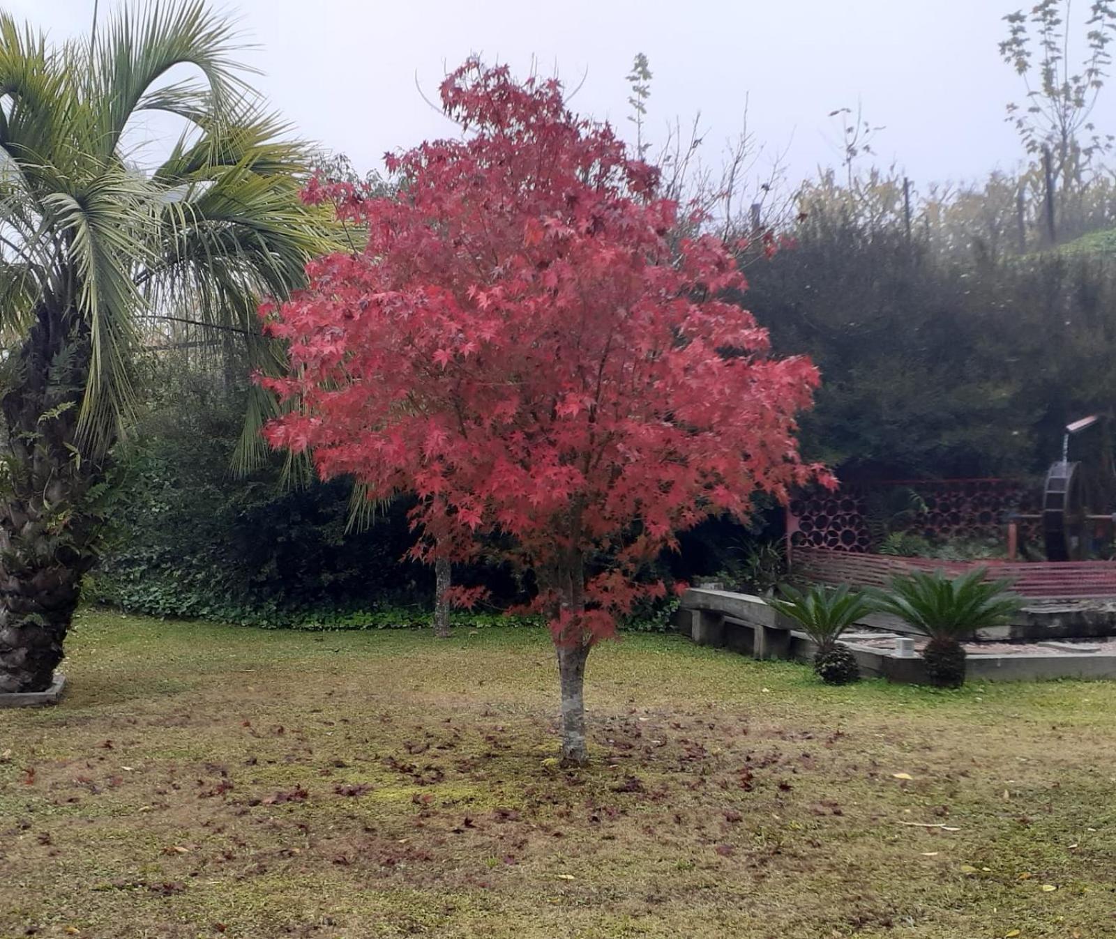 Cappio Pousada e Lazer Bento Gonçalves Esterno foto